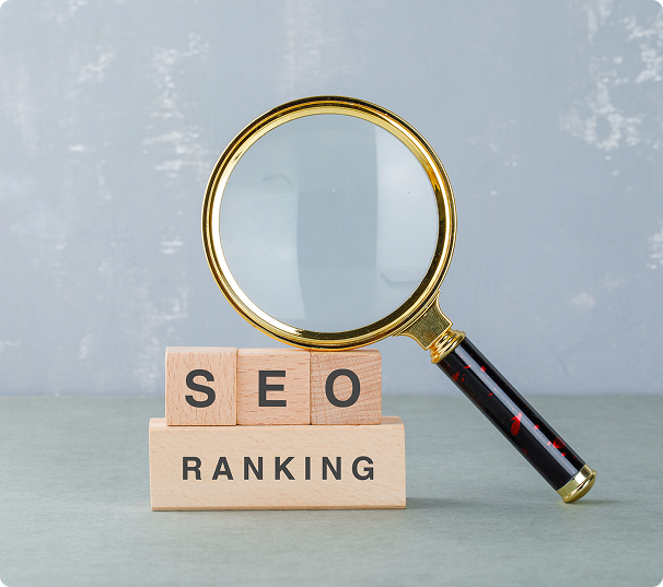 SEO Ranking & Visibility